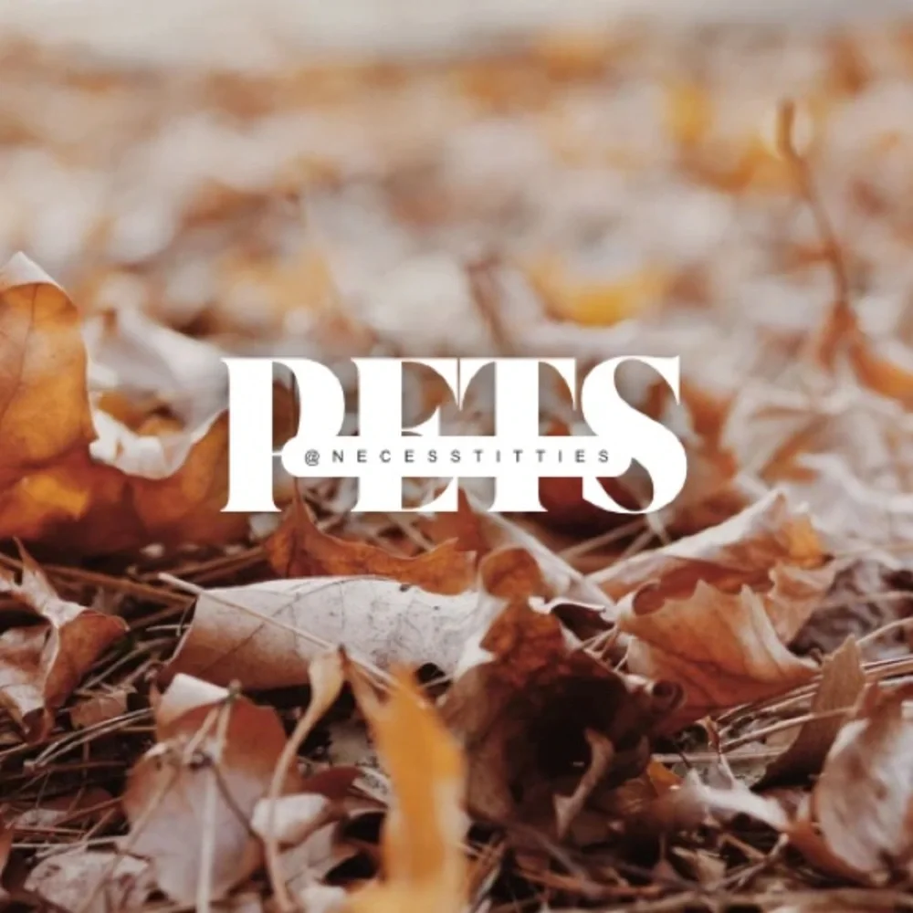 ♡︎ - Picture 6 of 12